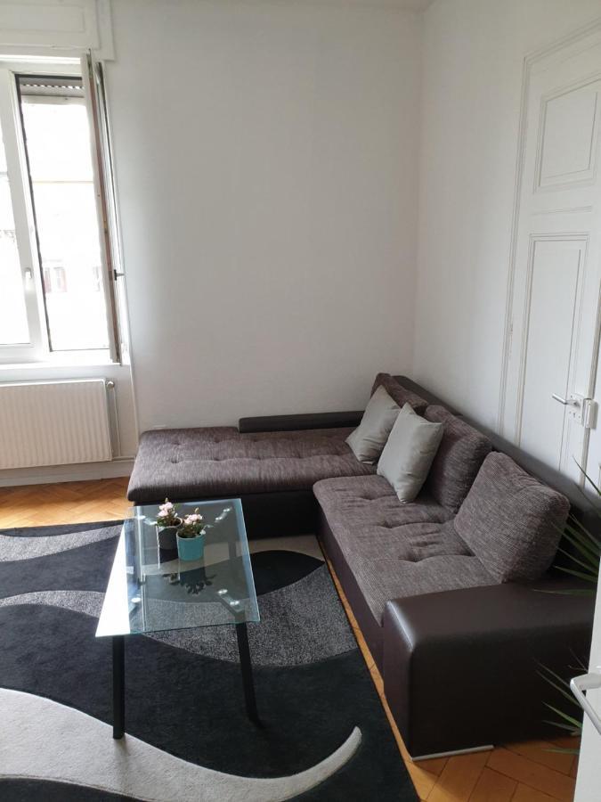 Strasbourg Centre Le 85, Superbe F5, 125M2, 5 Pieces Lägenhet Exteriör bild